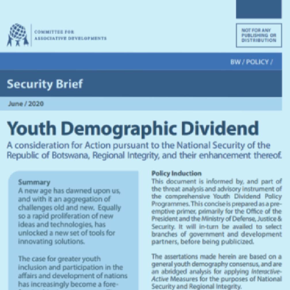 Youth Dividend